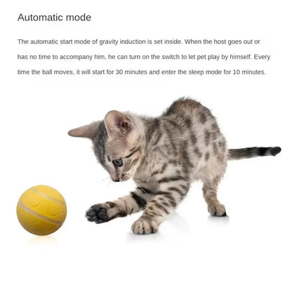 Dynamic Remote-Controlled LED Interactive Chew-Resistant Ball Toy for Energetic Puppies, Waterproof & Durable Design.